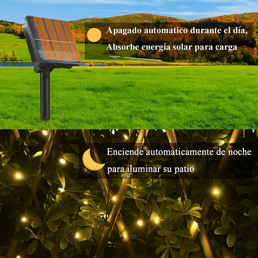 Encabezado